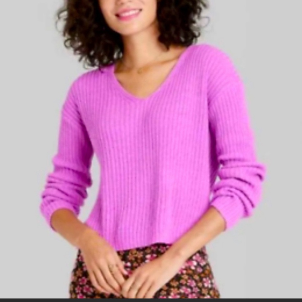 Purple/Pink Wild Fable V-Neck Women’s Sweater Size Sm